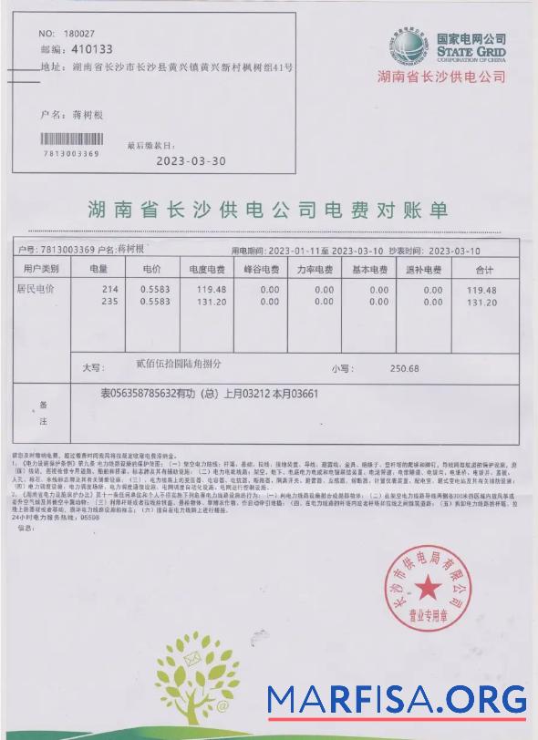 Printable CHINA STATE POWER GRID utility bill Word and PDF template